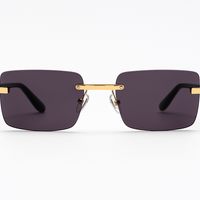 Smart Glasses™ Mike – Le futur du son et du style Le futur du son et du style